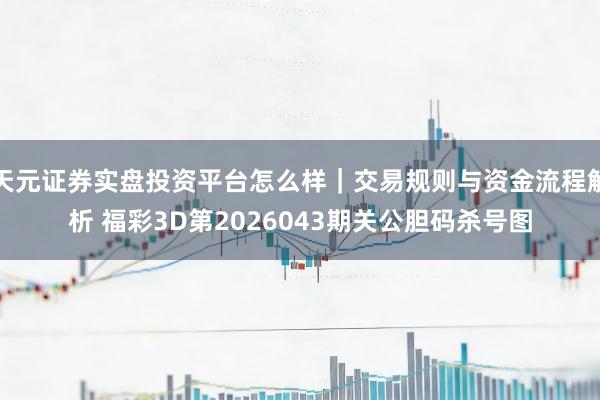 天元证券实盘投资平台怎么样｜交易规则与资金流程解析 福彩3D第2026043期关公胆码杀号图