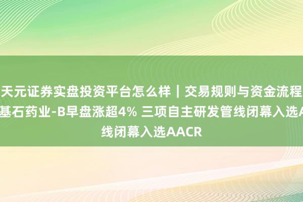 天元证券实盘投资平台怎么样｜交易规则与资金流程解析 基石药业-B早盘涨超4% 三项自主研发管线闭幕入选AACR